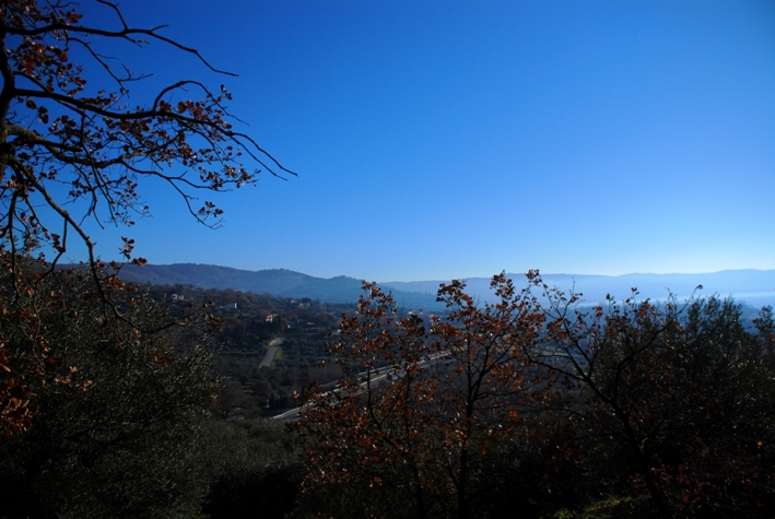 Clicca qui per vedere l'immagine in dettaglio